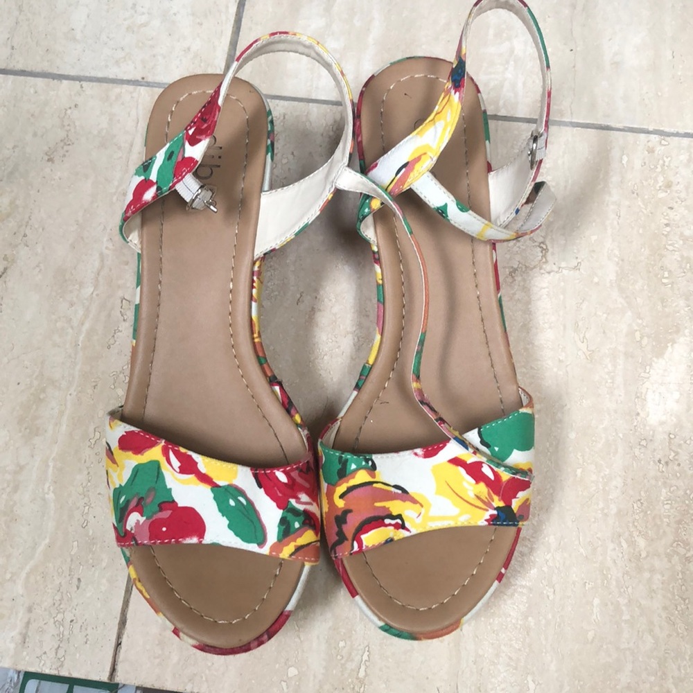 Primary flower colored wedges